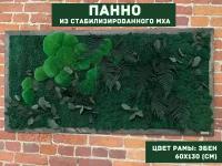 Прямоугольное панно из стабилизированно мха GardenGo в рамке