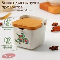 Банка для сыпучих продуктов Доляна «Эстет. Колибри», 250 мл, 9,5×9×9,5 см, с ложкой