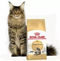 Корм сухой Royal Canin MAINE COON Специальное питание для кошек породы мейнкун, а также для кошек крупных размеров: сибирской, норвежской лесной и других, в возрасте от 15 месяцев и старше, 10кг