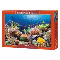 Пазл Castorland 1000 деталей Коралловый риф, средний размер элементов 1,9×1,7 см C1000-101511