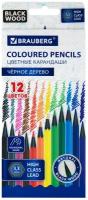 Карандаши цветные BRAUBERG, 12 цветов, черное дерево, грифель мягкий 3,3 мм, 181856