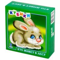 Развивающая игрушка Десятое королевство Кто живет в лесу 00678