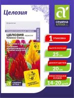 Семена Целозия Кимоно смесь перистая Низкорослые гиганты Однолетние 10 шт./уп