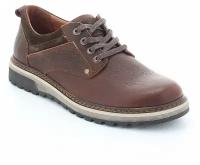 Туфли Olivia мужские демисезонные, размер 45, цвет коричневый, артикул 28-1572-4