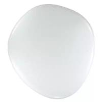 Потолочный светильник SONEX STONE 2039/DL LED 48W белый