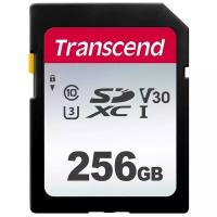 Карта памяти SDHC Transcend 256GB TS256GSDC300S