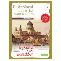 Папка для акварели Альт Professional paper for watercolors 59.4 х 42 см (A2), 200 г/м², 8 л. белый A2 59.4 см 42 см 200 г/м²