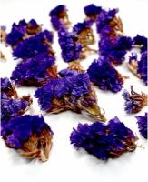 Статица фиолетовая сухоцвет соцветия для декора 25 шт в коробке