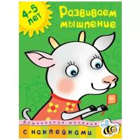 Дошкольная мозаика. Развиваем мышление (4-5 лет)