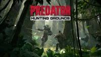 Игра Predator: Hunting Grounds - Predator Bundle Edition для PC (STEAM) (электронная версия)