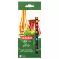 Набор масляной пастели Derwent Academy Oil Pastel, 12 цветов