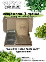 Микрозелень для выращивания Набор Fresh Greens (Редис Ред Корал Кресс-салат Подсолнечник)