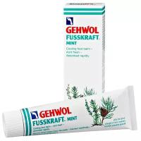 Gehwol Fusskraft Mint Мятный бальзам, 75 мл