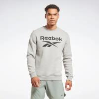 Толстовка Reebok RI FLC BIG LOGO CREW