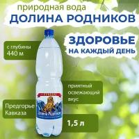 Вода Долина Родников. Объем 1.5л. Ручеек, Газированная, Вода минеральная питьевая газированная природная лечебная, выводит токсины, для детей