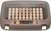 Инкубатор HHD 50 автоматический c универсальным поддоном для куриных, перепелиных, утиных, гусиных яиц