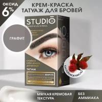 Studio Стойкая краска для бровей с эффектом татуажа Графит, 30/20 мл