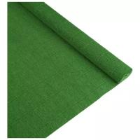 Цветная бумага крепированная в рулоне 140 г Cartotecnica Rossi, 50х250 см, 1 л., 991 лиственно-зеленый