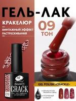 Holy Rose Crack, 10 мл, №9