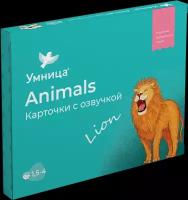 Дидактические карточки Умница Animals с озвучкой для обучения английскому языку, 32 шт., 16х12 см, зеленый