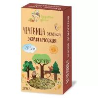 Чечевица зеленая, детское питание Здоровые детки, 300г с 2 лет