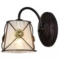 Настенный светильник Arte Lamp Fortuna A5495AP-1BR, E14