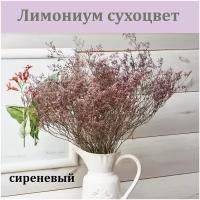 Лимониум сиреневый (сухоцвет) / Букет для интерьера / Сухоцветы для декора