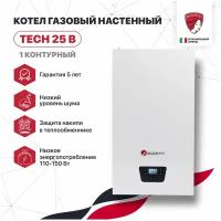 Котел газовый настенный Federica Bugatti 25B TECH 1-контурный