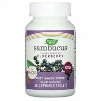 Nature' s Way, Sambucus, стандартизированная бузина для детей, 40 жевательных таблеток