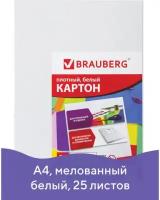 Картон белый А4 мелованный (глянцевый), 25 листов, в пленке, BRAUBERG, 210х297 мм, 124021