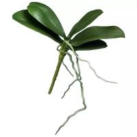 Искусственные листья Орхидея Фаленопсис-мини Gerard de ros