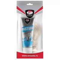 Лен с пастой ВМПАВТО Pastum H2O, 70 г, лён 20 г