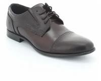 Туфли TOFA мужские демисезонные, размер 43, цвет коричневый, артикул 508206-5