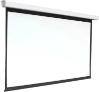Экран Digis DSEF-4304 (Electra-F, формат 4:3, 120