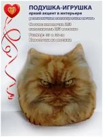 Подушка рельефная Персидский Рыжий кот