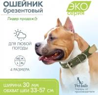 Ошейник для собак крупных пород PetTails 