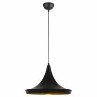 Потолочный светильник Arte Lamp Capello A3406SP-1BK, E27, 40 Вт, кол-во ламп: 1 шт., цвет арматуры: черный, цвет плафона: черный