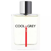 Dilis Parfum туалетная вода Cool&Grey