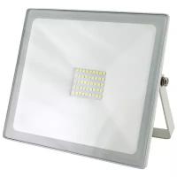 Прожектор светодиодный TDM ELECTRIC СДО-04-050Н (White)