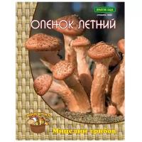 Мицелий грибов ПОИСК Опенок Летний на древесном носителе 12 шт