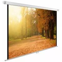 Рулонный матовый белый экран cactus WallExpert CS-PSWE-200x125-WT, 90