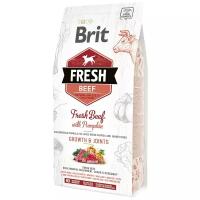 Сухой корм для щенков Brit Fresh, говядина, с тыквой (для крупных пород)