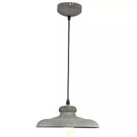 Потолочный светильник Arte Lamp Loft A5025SP-1BG, E27