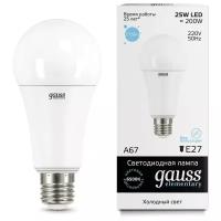 Лампа Gauss Elementary A67 25W 2150lm 6500K E27 LED 73235