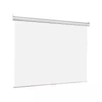 Рулонный матовый белый экран Lumien Eco Picture LEP-100114, 116