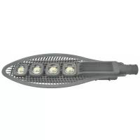 HOROZ ELECTRIC Уличный светильник Broadway-200 светодиодный, 200 Вт, цвет арматуры: серый, цвет плафона серый