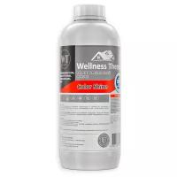 Реагент на кислотной основе WellnessTherm COLOR SHINE 1л