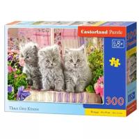 Пазл Castorland Three Grey Kittens (В-030330), 300 дет., 29х40х22 см, разноцветный