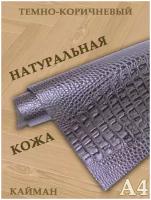 Кожа натуральная/Формат А4/Кожа рептилии Кайман 1,0-1,2мм цв. темно-коричневый крокодил