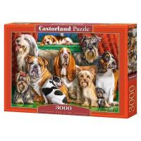 Пазл Castorland Dog Club (C-300501)